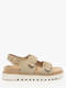 sd beige