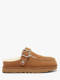 chestnut