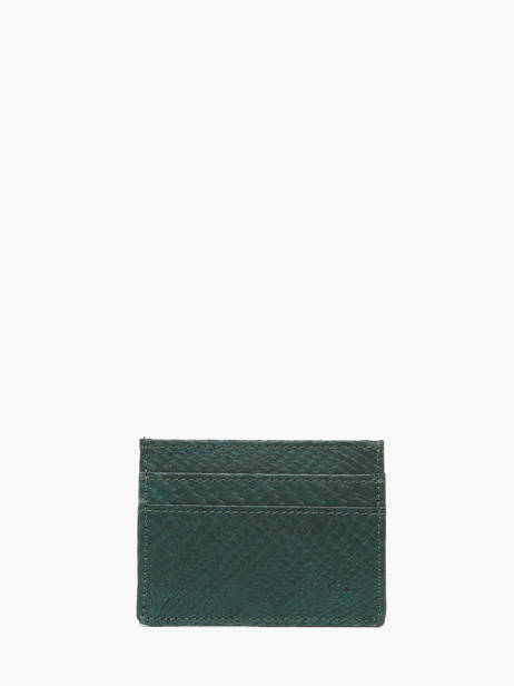 Salmon Leather Sous L'eau Cardholder Etrier Green sous l'eau ESOU011