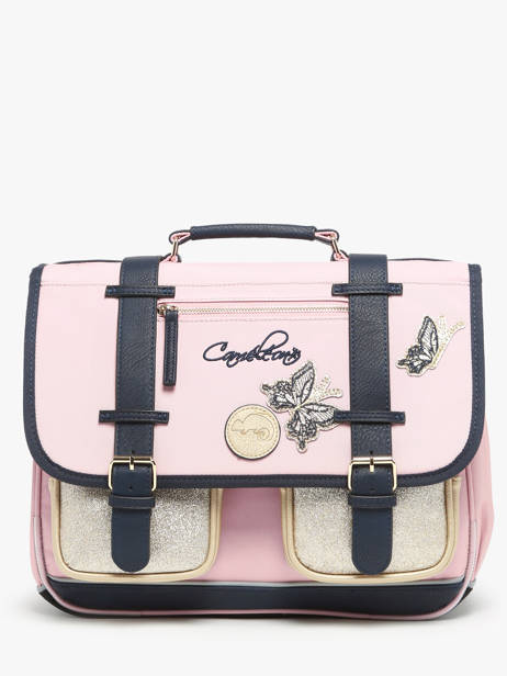 2-compartment Satchel Cameleon Pink vintage family boulanger CA38