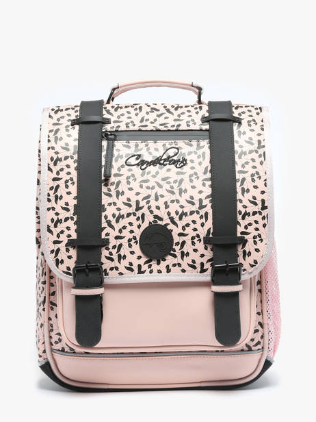 2-compartment Vintage North Backpack Cameleon Pink vintage north SD39