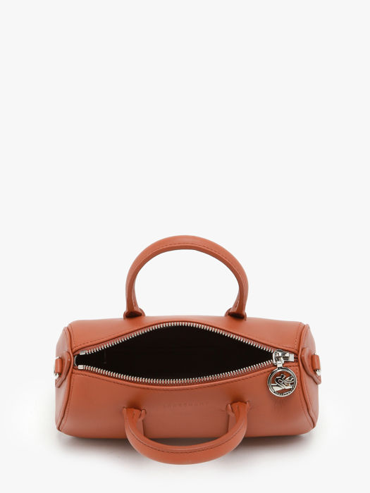 Longchamp Daylong Handbag Brown