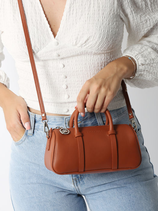 Longchamp Daylong Handbag Brown