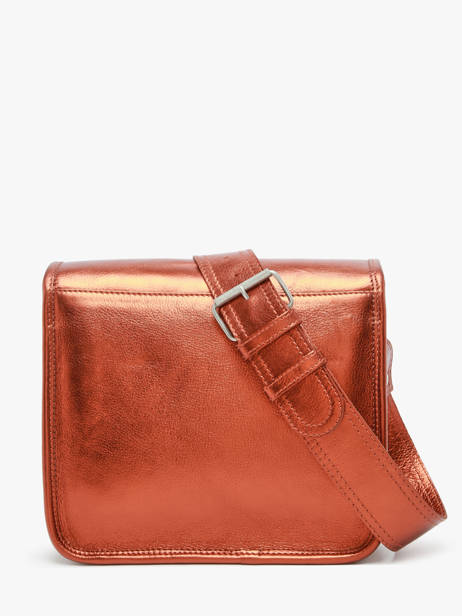 Small Leather La Sacoche Ginger Crossbody Bag Paul marius Orange ginger SACOSGIN other view 4