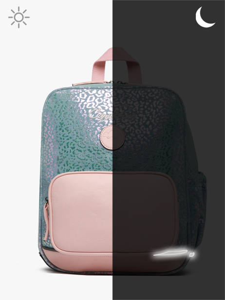 2-compartment Backpack Cameleon Blue vintage fantasy SD33 other view 8