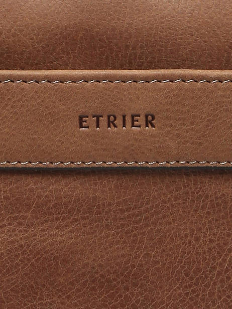 1 Compartment Spider Backpack Etrier Brown spider ESPI8191 other view 5