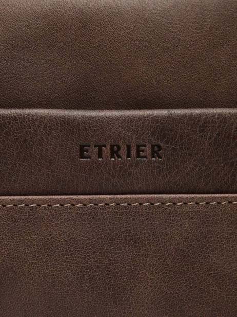 Crossbody Bag Etrier Brown spider ESPI710M other view 5
