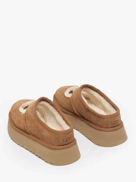 Derby Shoes In Leather Ugg Brown accessoires 1167612 other view 2