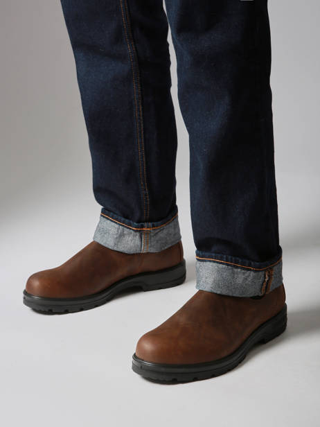 Chelsea Boots In Leather Blundstone Brown men 1609 other view 1