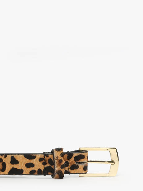 Belt Pieces Brown naina 17098646 other view 1