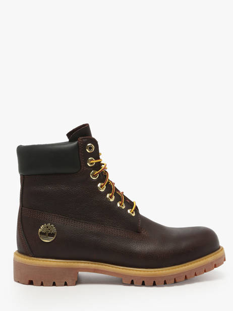 Boots In Leather Timberland Brown men 2P6WEXU1