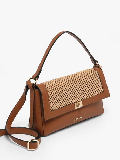 Shoulder Bag Baobab Leather Etrier Brown baobab EBAO185S other view 3