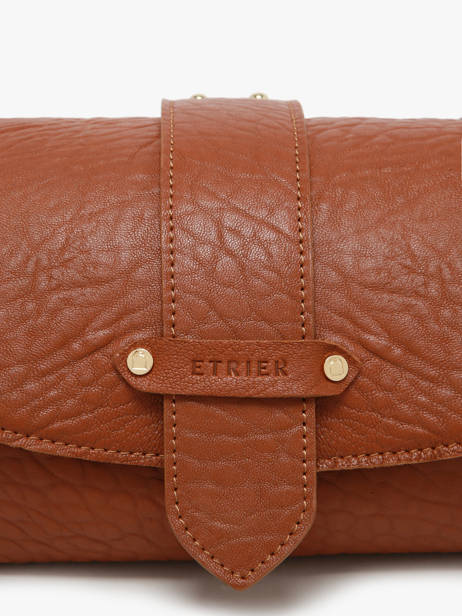 Shoulder Bag M Agnes Leather Etrier Brown agnes EAGC205M other view 3