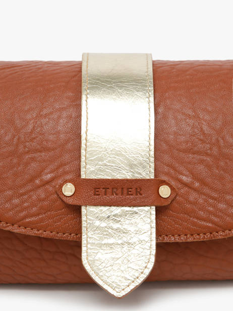 Shoulder Bag M Agnes Leather Etrier Brown agnes EAGC205M other view 4