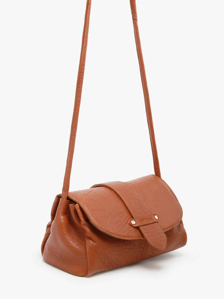 Shoulder Bag M Agnes Leather Etrier Brown agnes EAGC205M other view 5