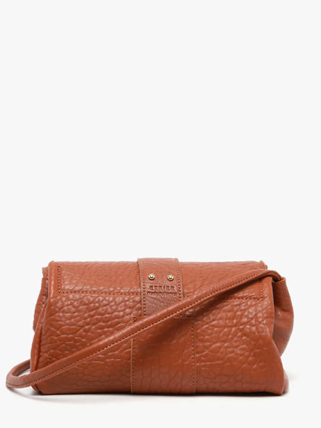 Shoulder Bag M Agnes Leather Etrier Brown agnes EAGC205M other view 7