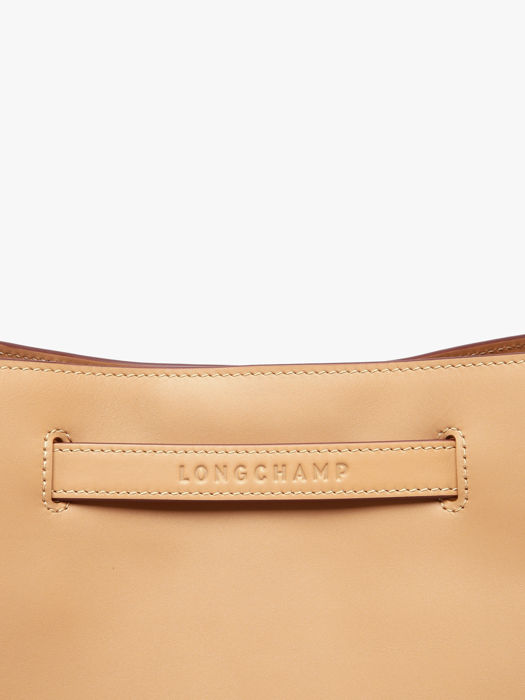 Longchamp Le roseau smart Hobo bag Brown