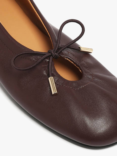 Ballerinas In Leather Alohas Brown accessoires 10030302 other view 2