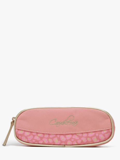 Trousse 2 Compartiments Cameleon Rose vintage fantasy PBVGTROU