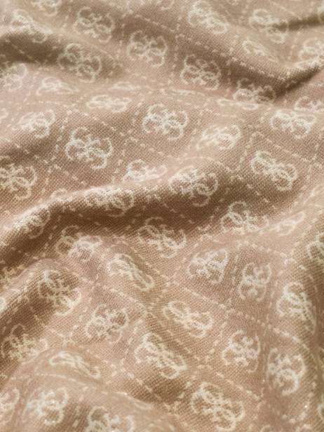 Scarf 4g Logo 60x190 Guess Beige accessoires 5663VIS0 other view 1