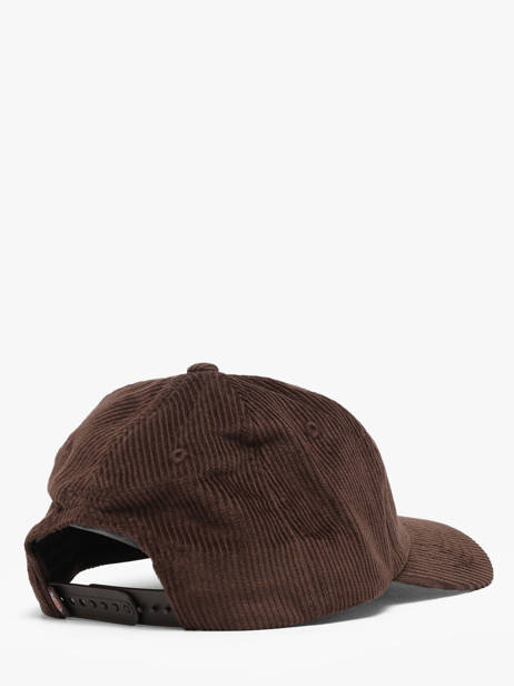 Cap Dickies Brown accessoires DK0A4ZAY other view 2